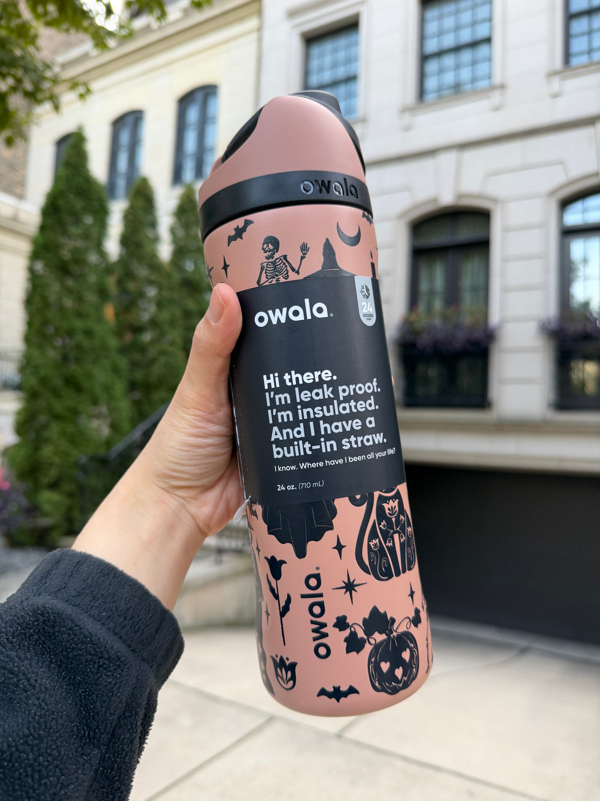 Owala 經典吸管不銹鋼水壺 - 可怕的可愛 - Fright and Delight - 24oz