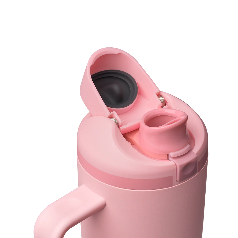 Owala 手提吸管不銹鋼水壺 - 玫瑰 - Rose Quartz - 30oz