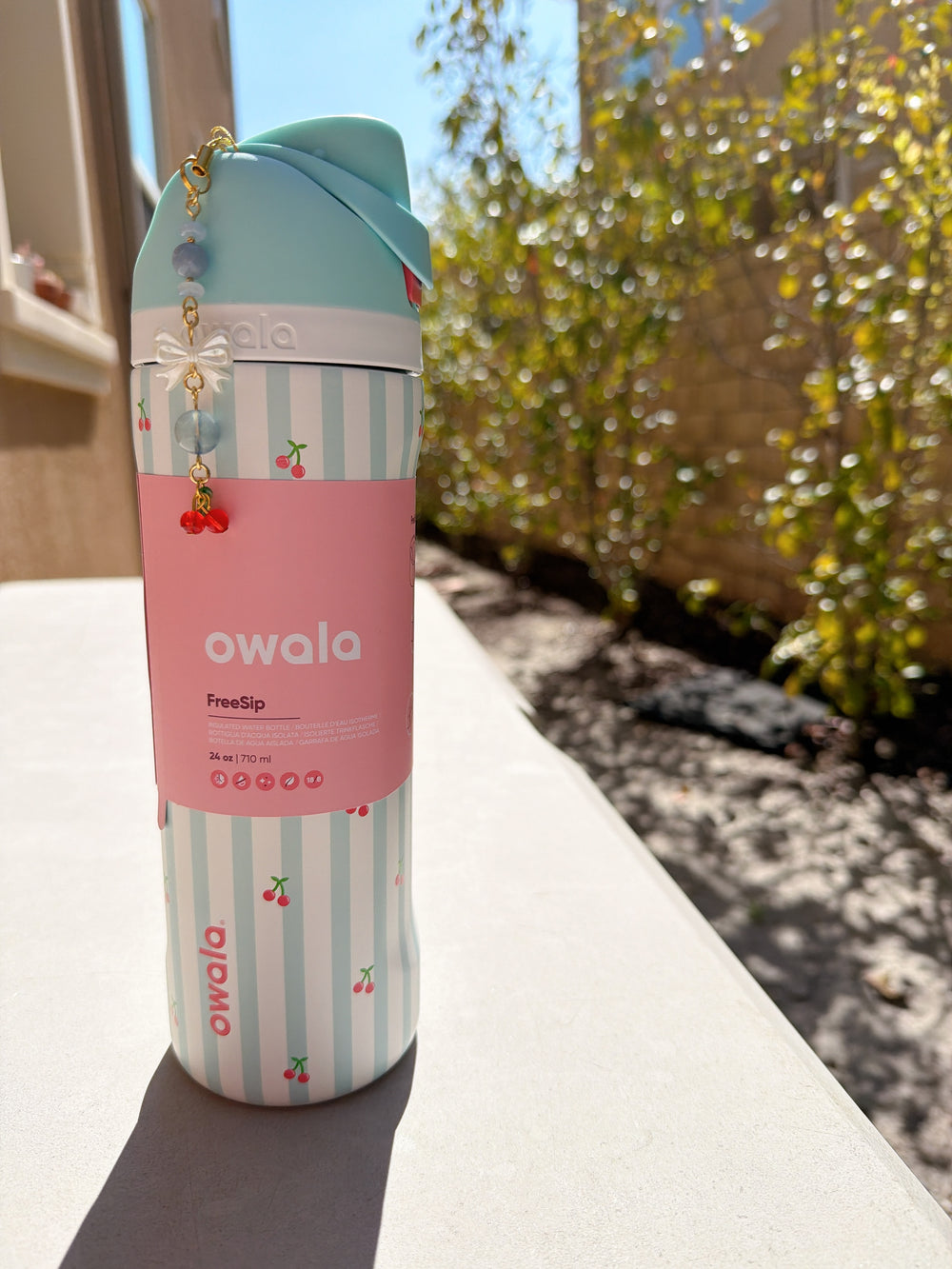 Owala 特別版 小櫻桃
