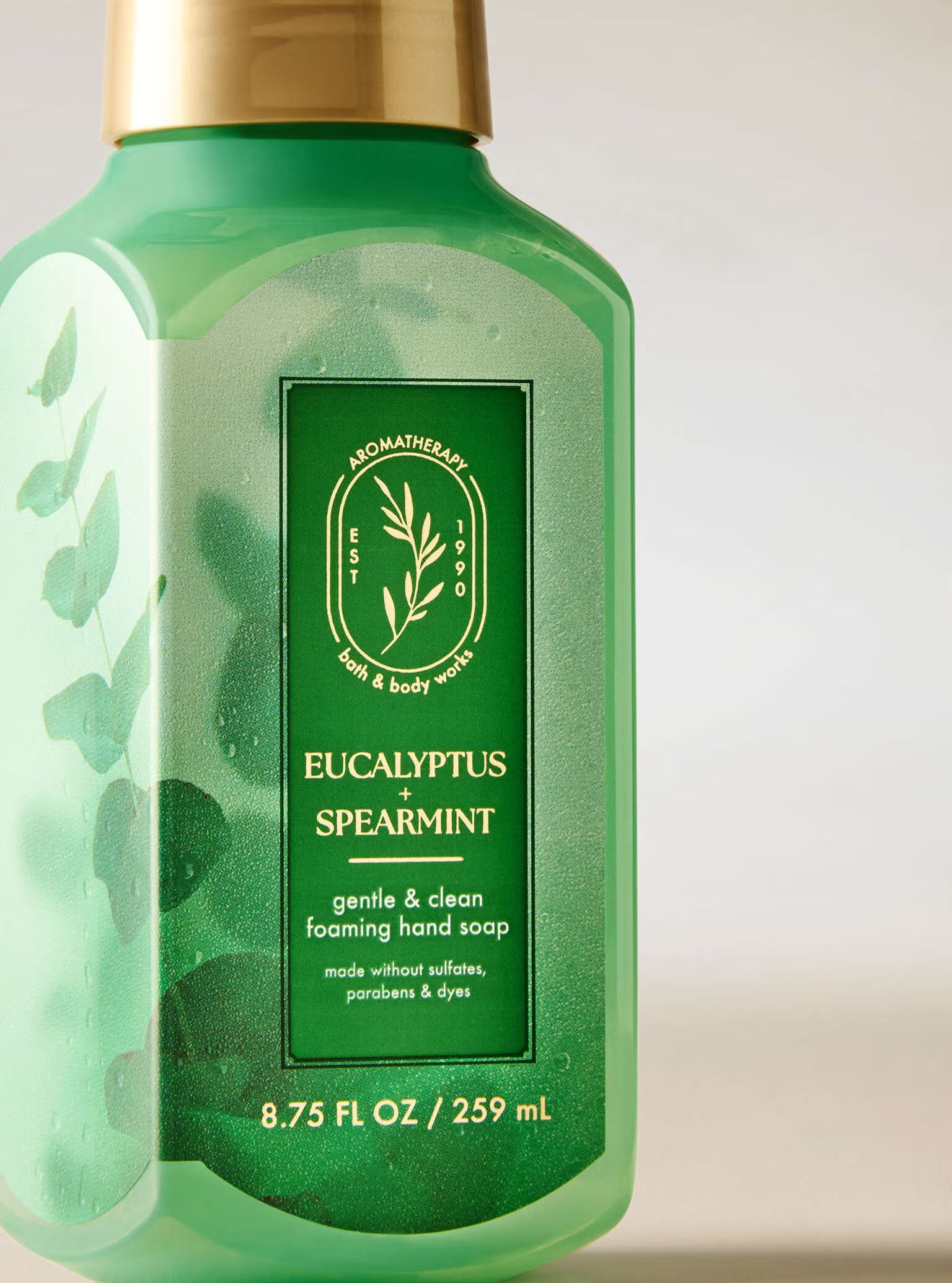 BBW 泡泡洗手乳 - 提神尤加利 - Eucalyptus Spearmint