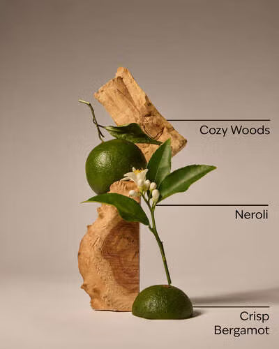 BBW 泡泡洗手乳 書房之香 - Book Loft