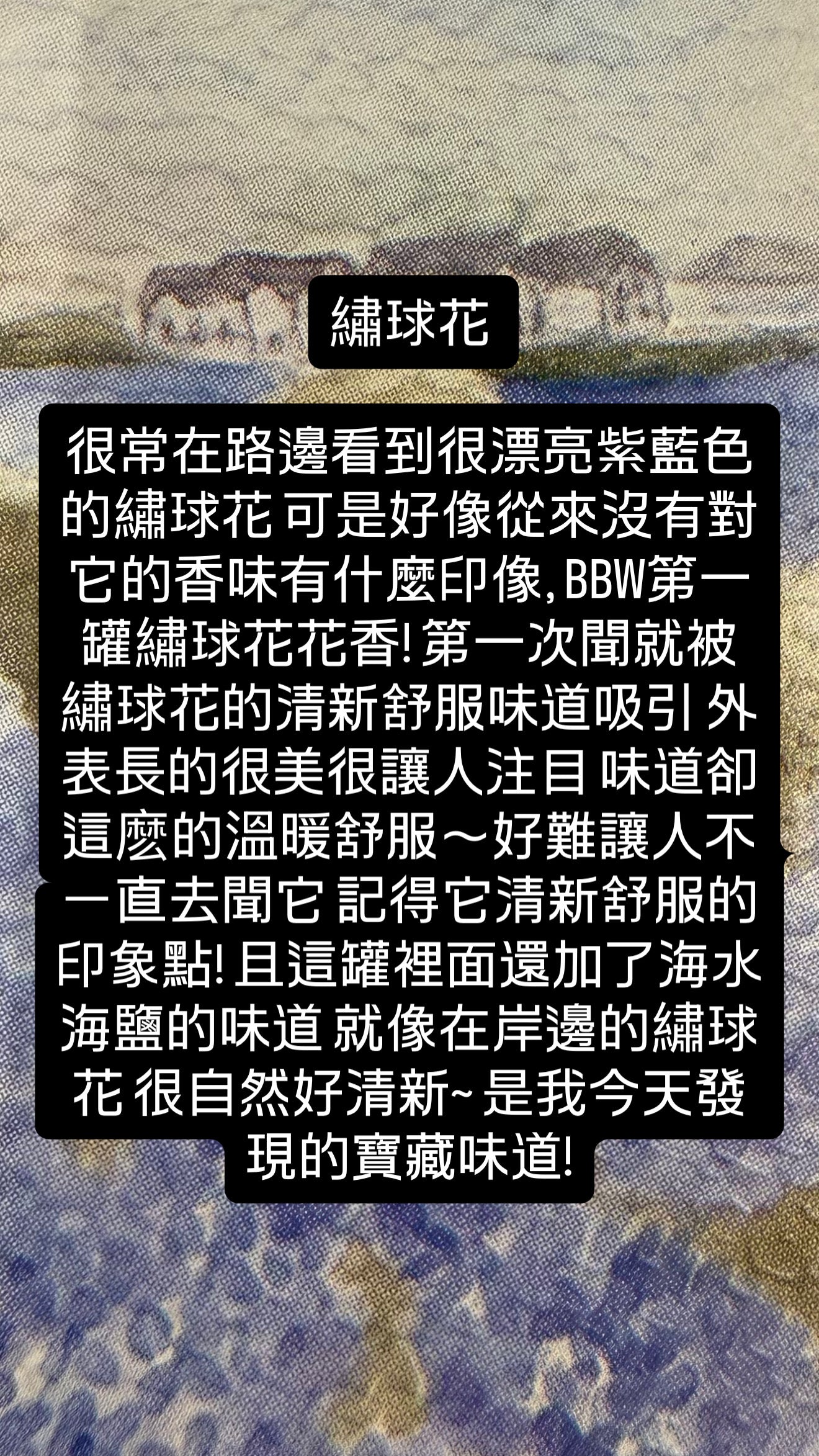 BBW 泡泡洗手乳 海岸繡球花 - Shoreline Hydrangea