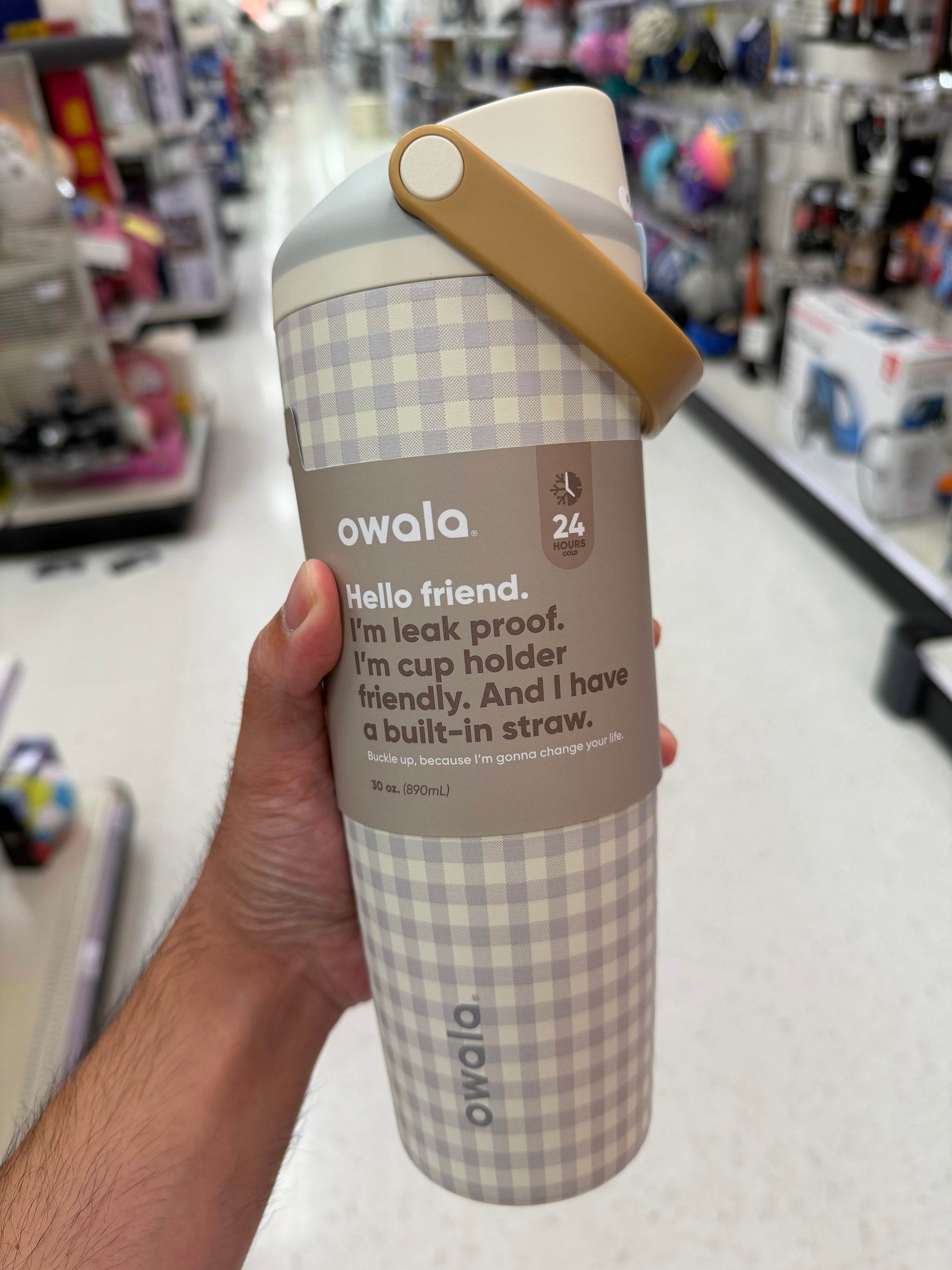 Owala 拉手吸管不銹鋼冷水壺 - 綠南瓜格子 - Picnic Perfection - 890ml