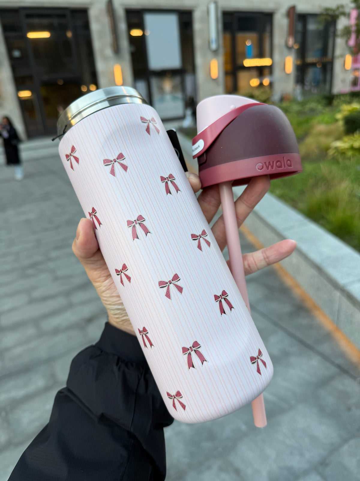 Owala 經典吸管不銹鋼水壺 - 禮物蝴蝶結 - Take a Bow - 24oz