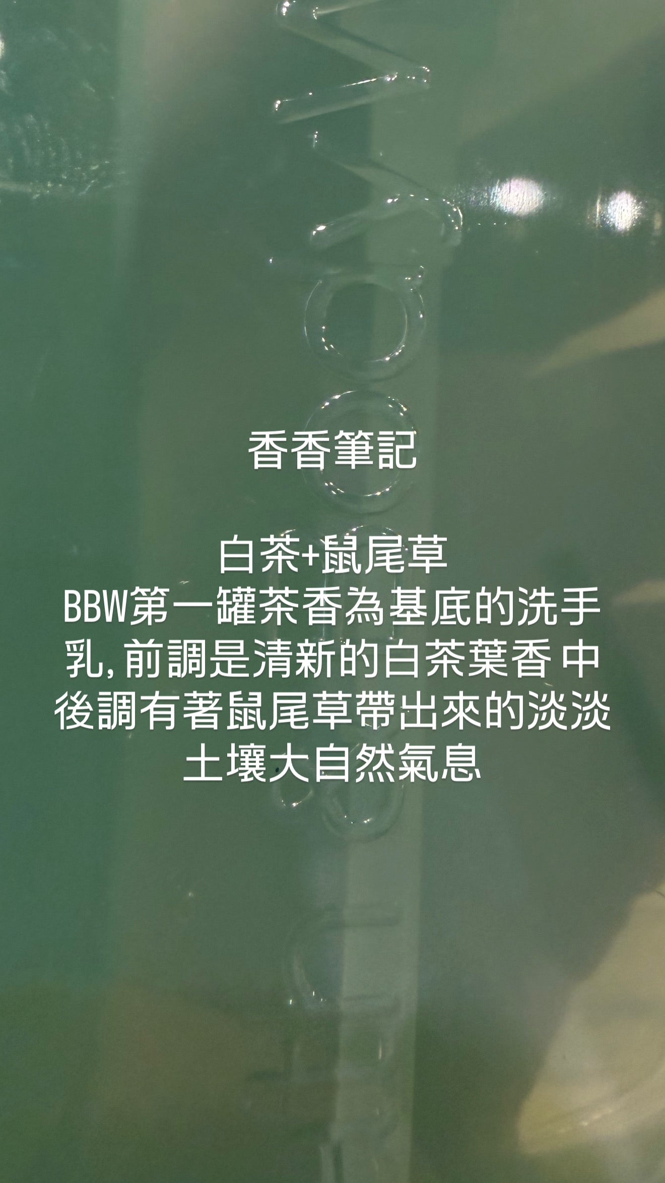 BBW 泡泡洗手乳 - 白茶 - White Tea and Sage