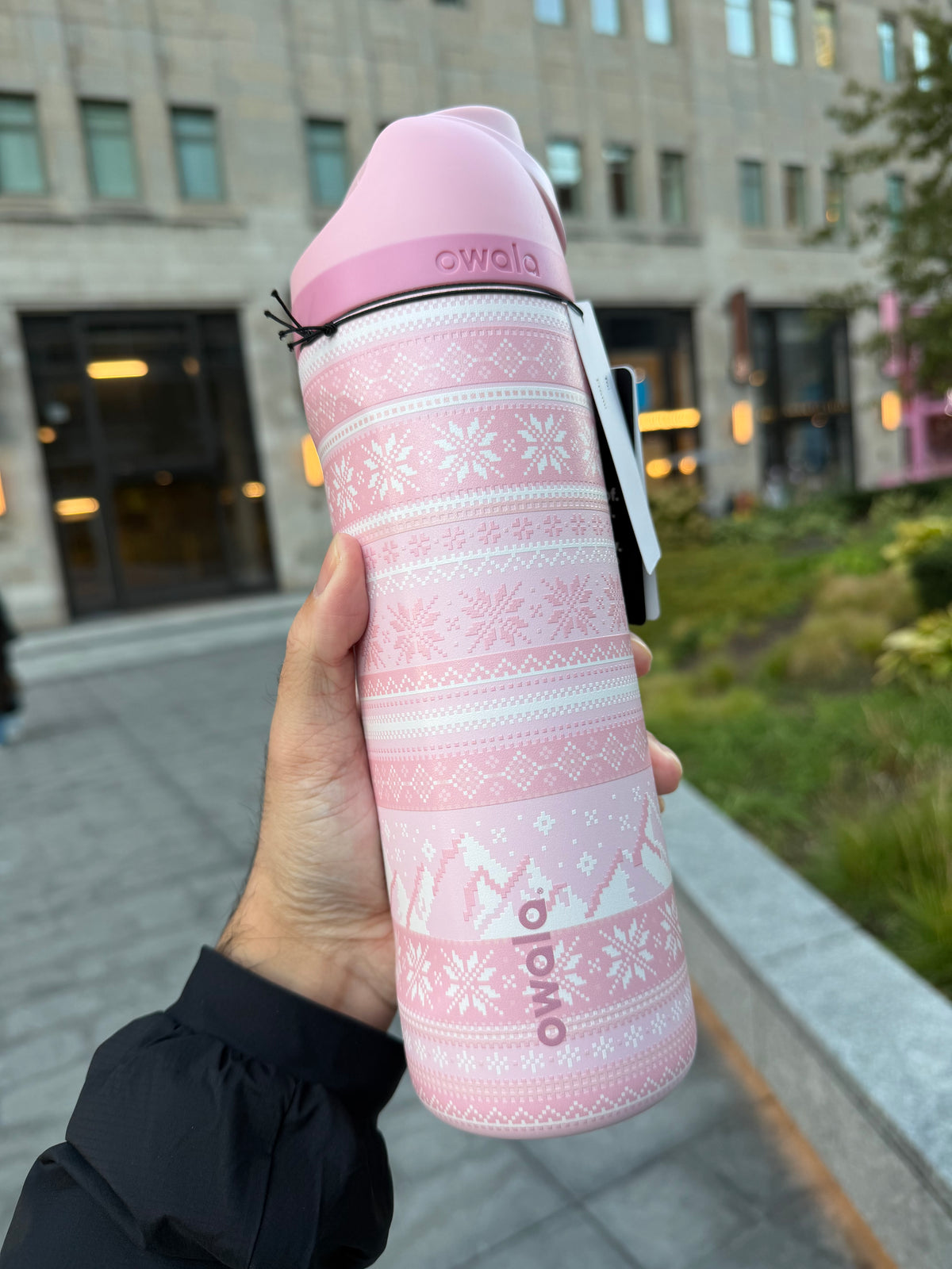 Owala 經典吸管不銹鋼水壺 - 粉粉毛衣 - Cozy Does It - 24oz