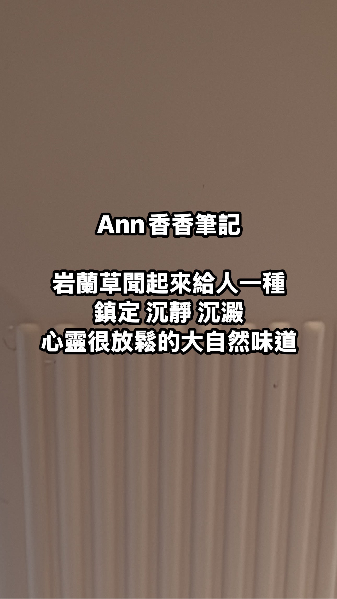 BBW 泡泡洗手乳 鹽蘭草 - Salted Amber & Vetiver