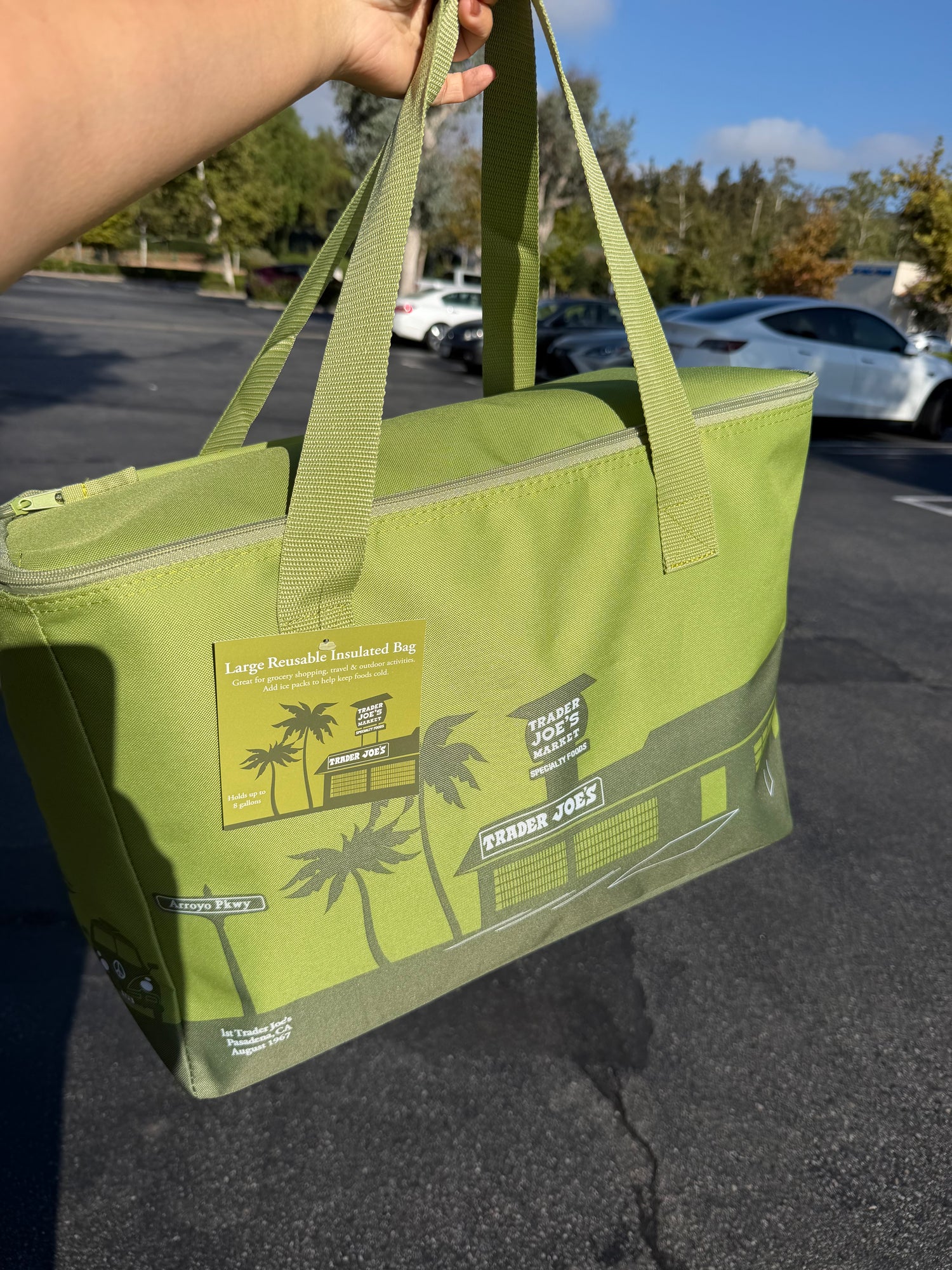 預購 Trader Joe 最新大型保冷袋 抹茶綠