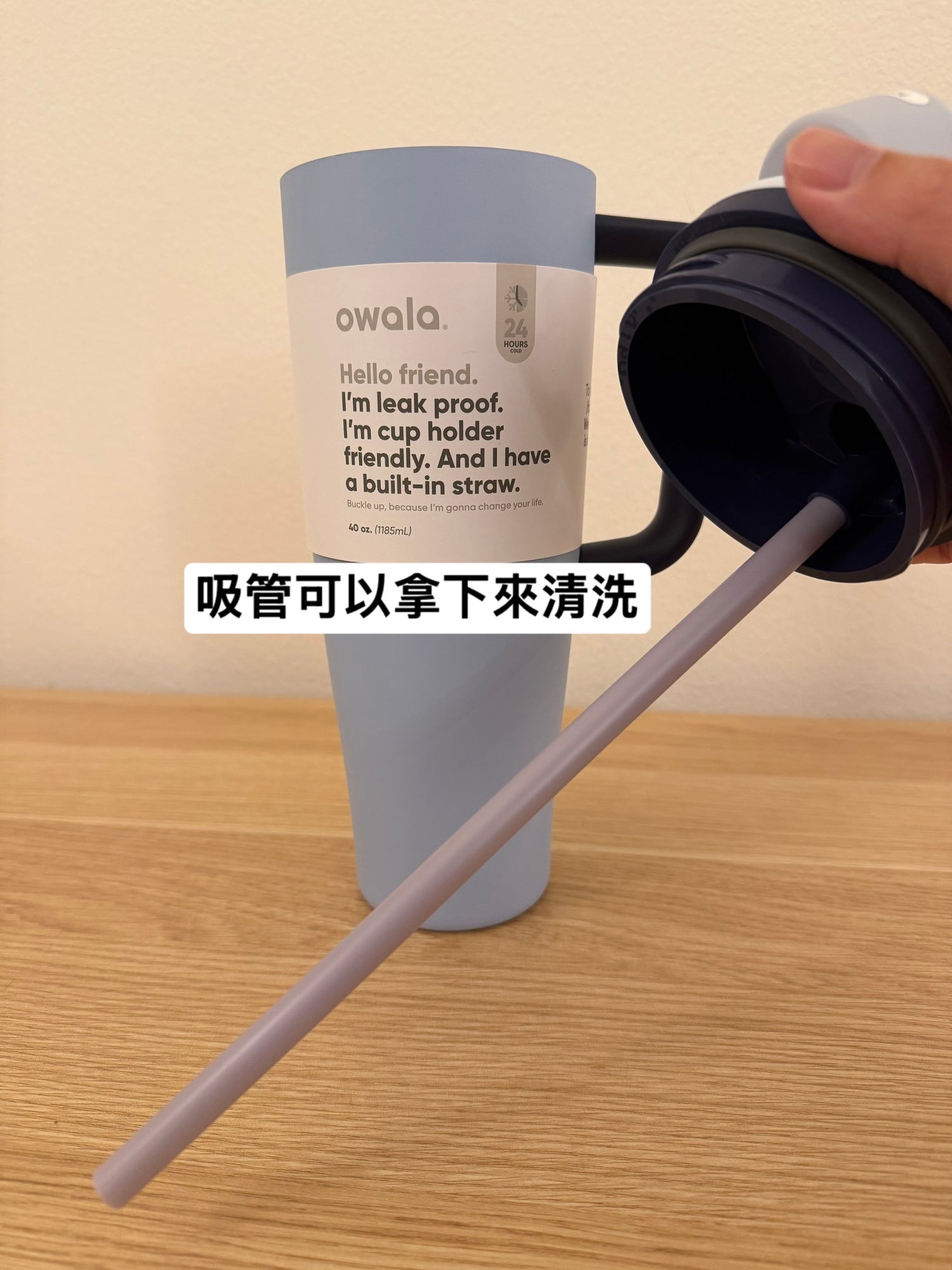 Owala 把手輕鬆喝 玫瑰之夢 1185ml