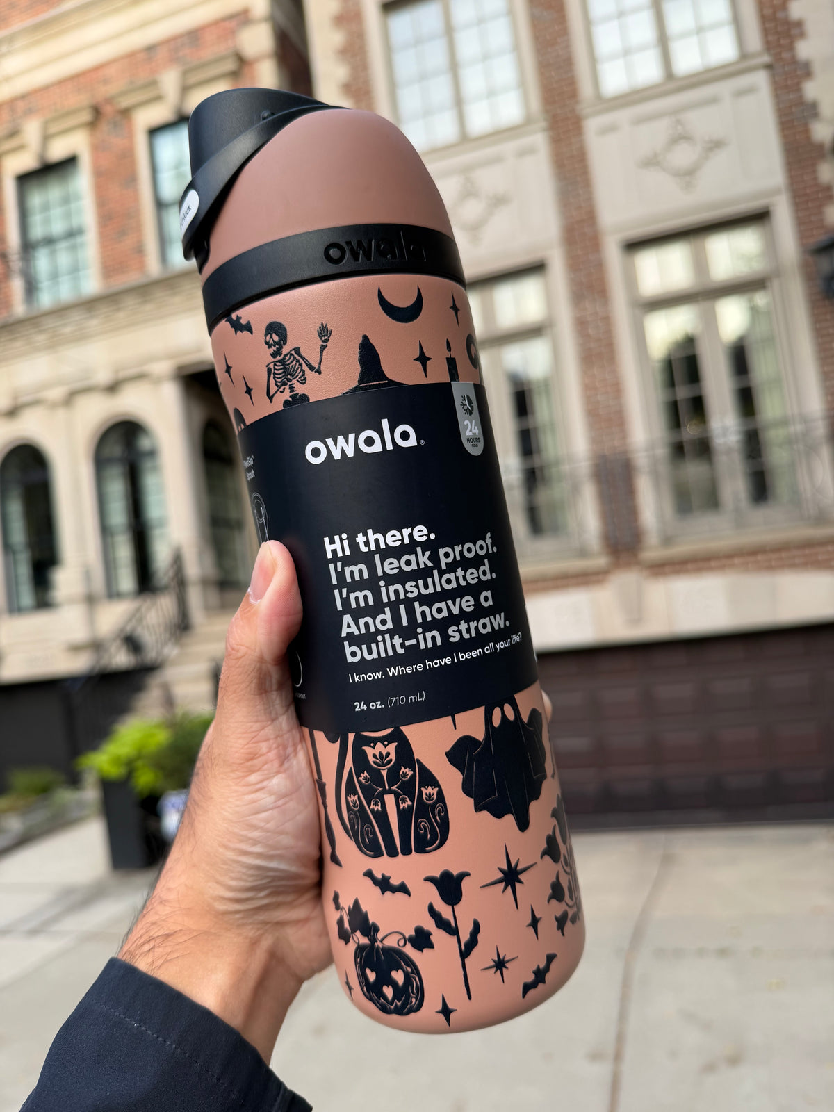 Owala 經典吸管不銹鋼水壺 - 可怕的可愛 - Fright and Delight - 24oz