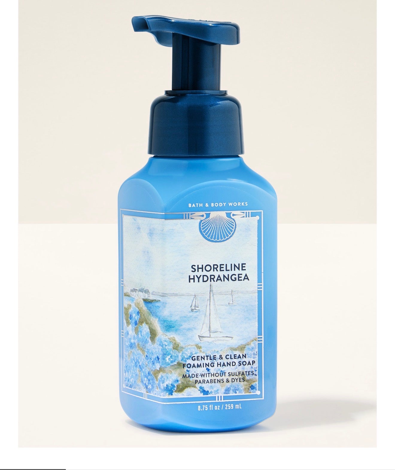 BBW 泡泡洗手乳 海岸繡球花 - Shoreline Hydrangea