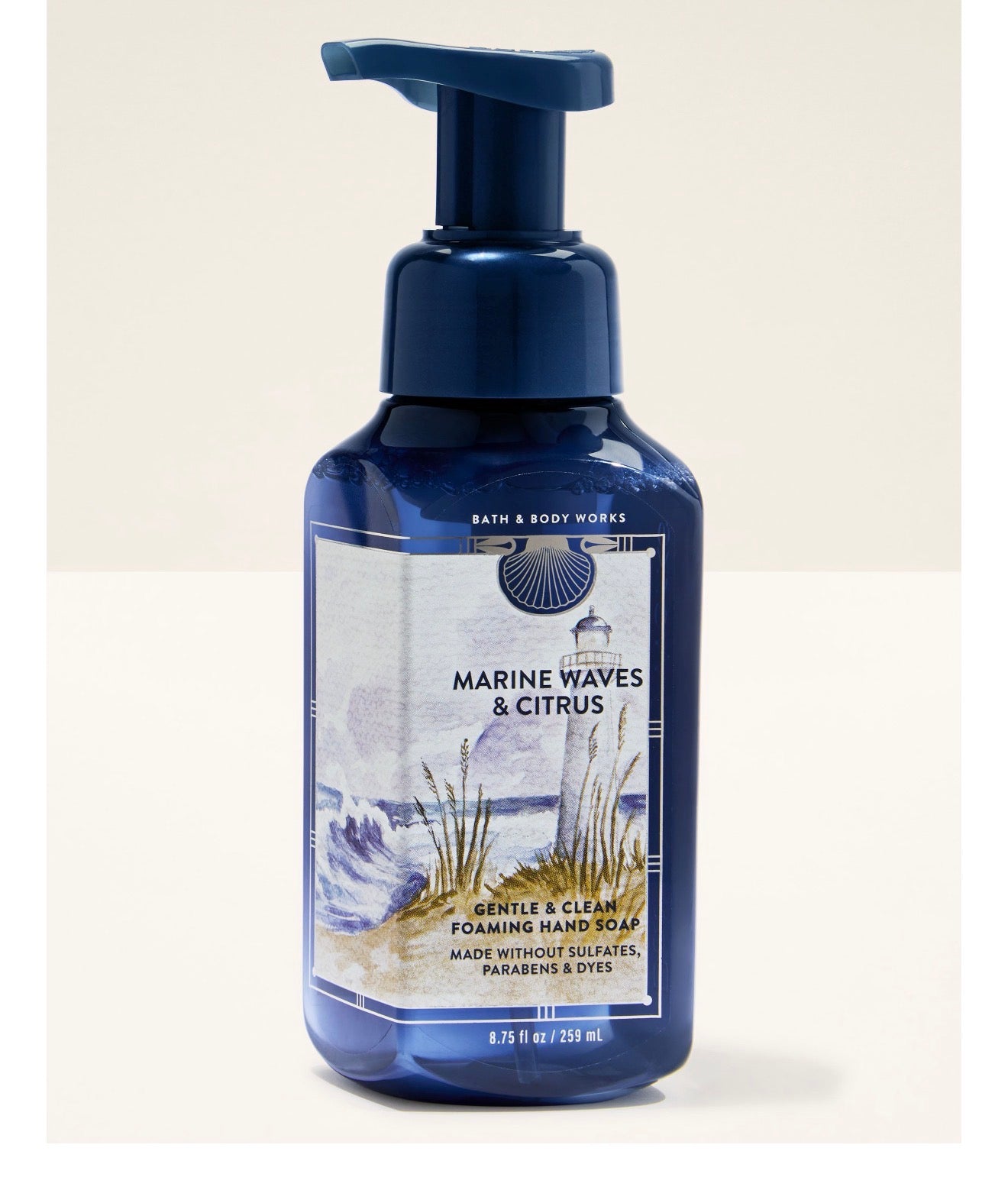 BBW 泡泡洗手乳 橙縣海岸 - Marine Wave & Citrus