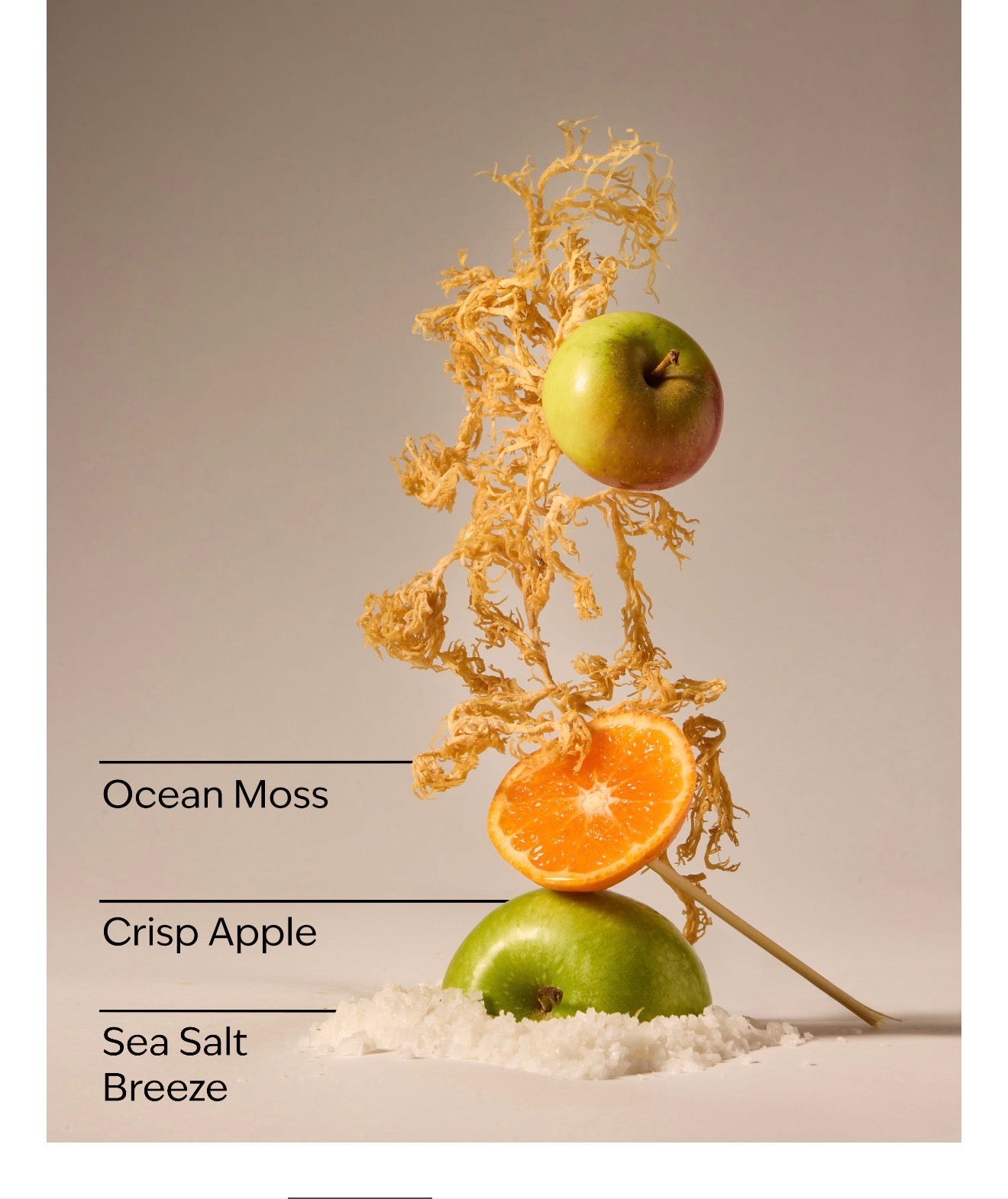 BBW 泡泡洗手乳 橙縣海岸 - Marine Wave & Citrus