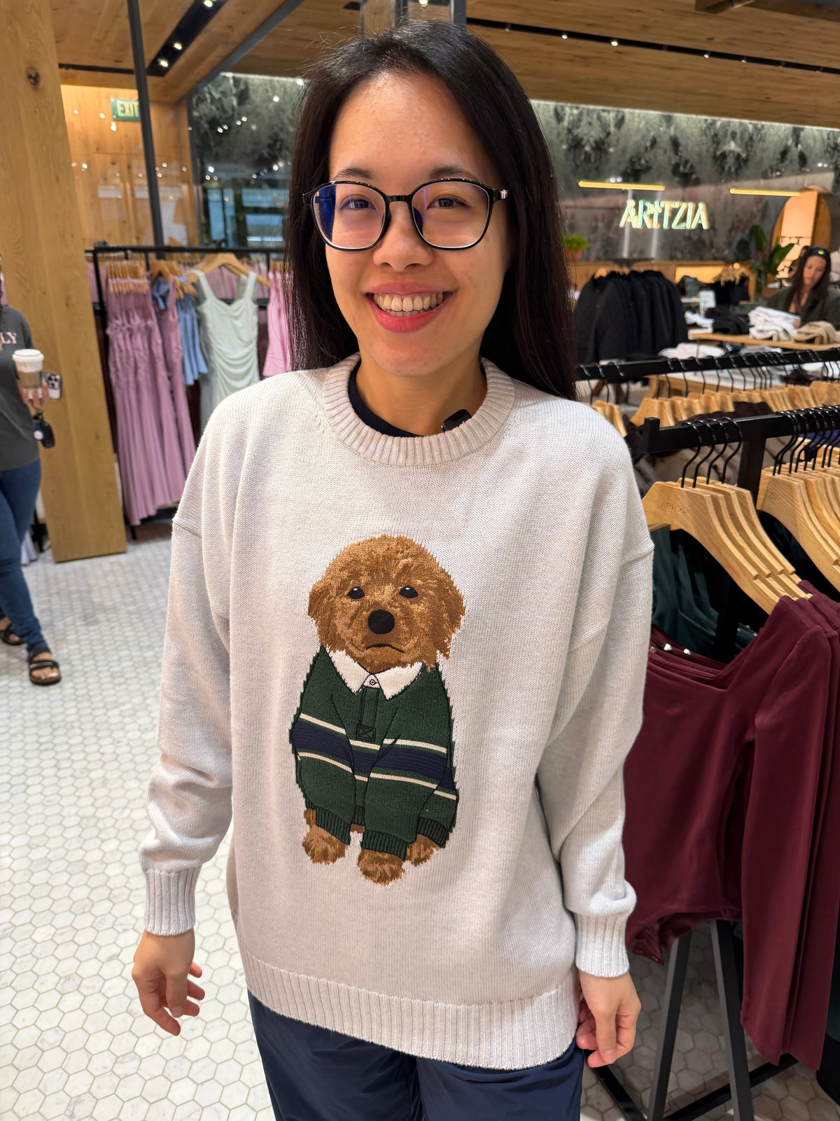 Aritzia 狗狗針織毛衣 - 淺灰綠衣金毛