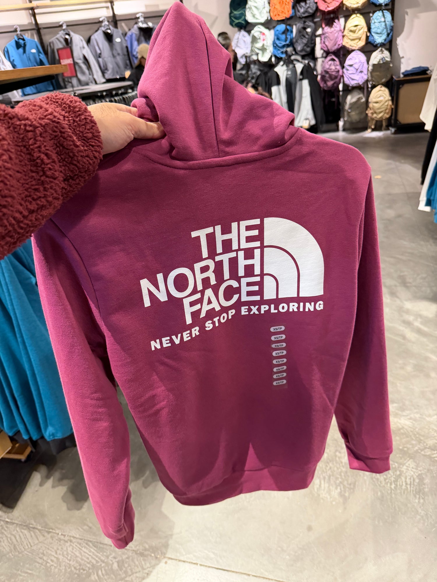 北臉 女生 小logo刷毛帽T[背面有圖案] 莓果 L