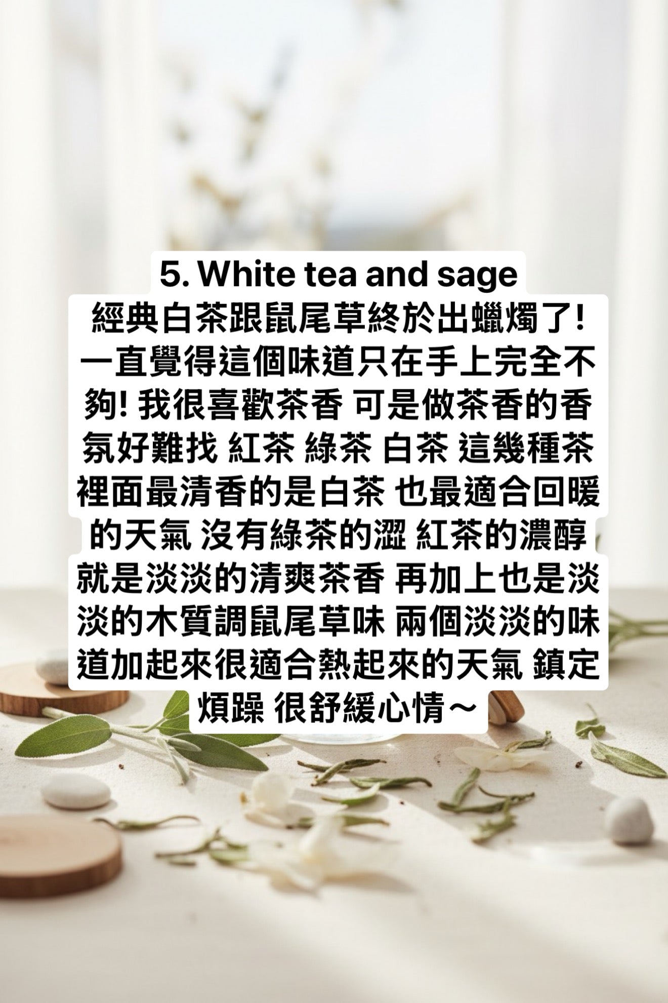 BBW 三蕊蠟燭 白茶 - White Tea & Sage